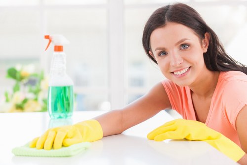 Visitor browsing London House Cleaning website with cookie notice
