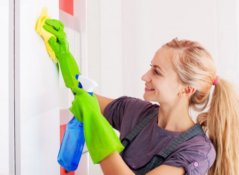 Professional window cleaning for a London house with bright clean glass