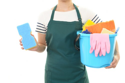Carpet cleaning service for a London home interior