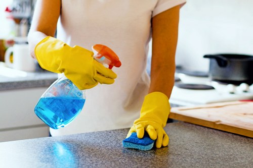 Low-carbon van used for sustainable cleaning operations