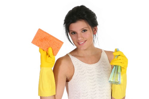 Waste and disposal rules for domestic cleaning services