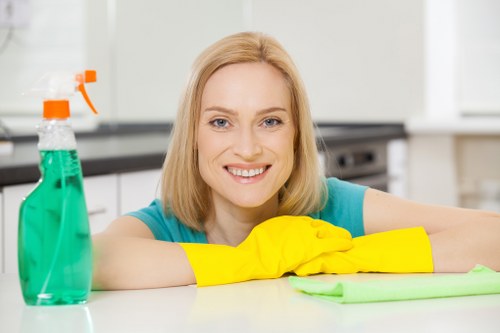 Screen-reader friendly content structure for London House Cleaning