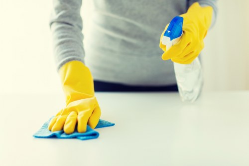 Deep cleaning a fabric sofa in a London apartment