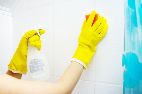London House Cleaning sustainability and recycling commitment