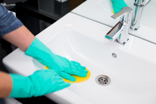 Client booking a domestic cleaning visit with service details