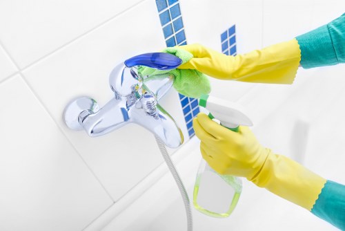 Supervisor checking risk controls during a domestic cleaning task