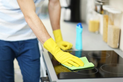 Professional cleaning service for busy households in London