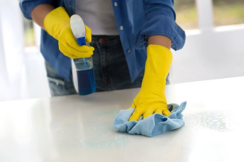 Local London cleaners working on a family home deep clean